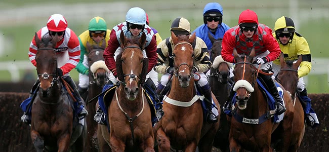 Israel bans horse racing betting